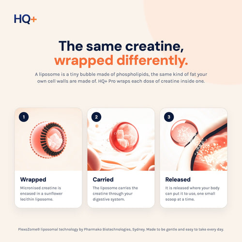 HQ+ Pro Liposomal Creatine Monohydrate Supports Mental & Physical Performance