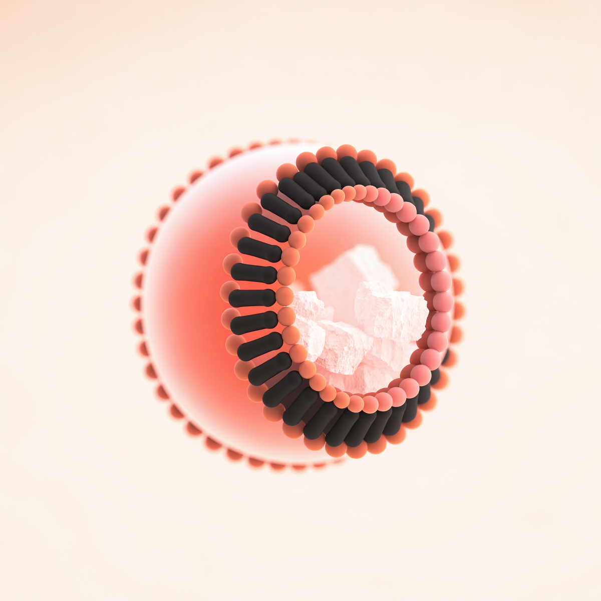 Illustration of a liposome with creatine held safely in its core
